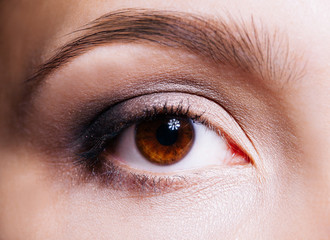 Fototapeta premium Beautiful woman's brown eye close up