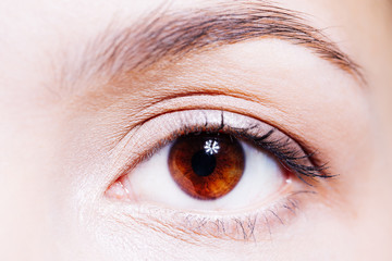Obraz premium Beautiful woman's brown eye close up