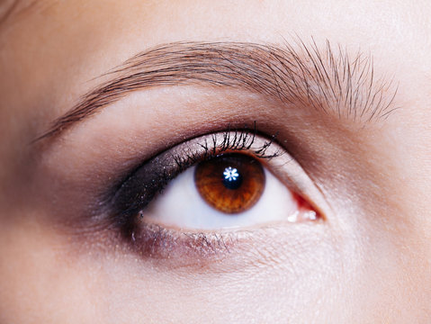 Beautiful woman's brown eye close up