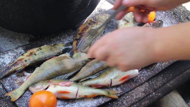 cooking fish on the grill