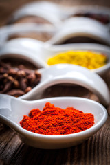 Dry spices in spoon.