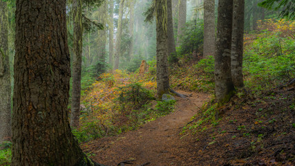 Naklejka premium Maple pass loop trail, Fall, North Cascades