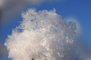 Fluffy snow of the morning. Winter landscape. Clear blue sky. Picturesque wintry scene. Beauty world. Frost on the trees. Winter nature, snow fairy forest.