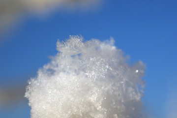 Fluffy snow of the morning. Winter landscape. Clear blue sky. Picturesque wintry scene. Beauty world. Frost on the trees. Winter nature, snow fairy forest.