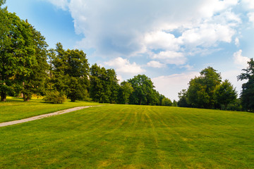 Green summer park