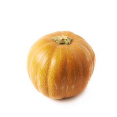 Single ripe orange pumpking isolated