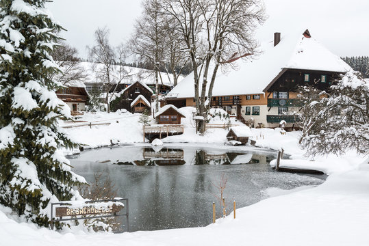 Typical black forest houses