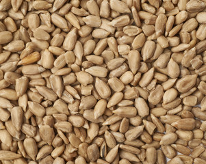 Surface covered with sunflower seeds