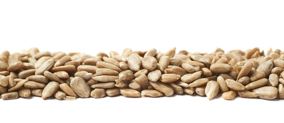 Line of sunflower seeds isolated
