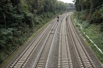 Fototapeta premium Railroad with four tracks trough a forest in Germany