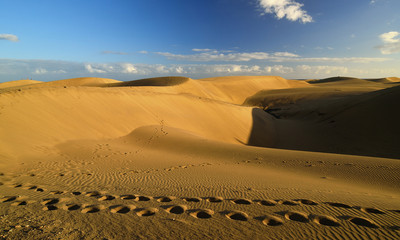 Maspalomas Beach. Gran Canaria.