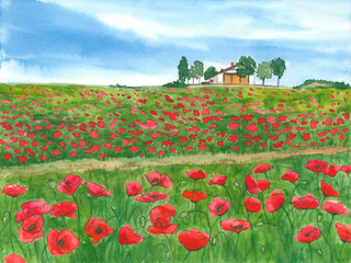 Poppy field countryside watercolour illustration