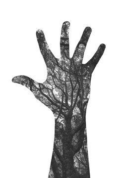 Double exposure image of hand and lush forest