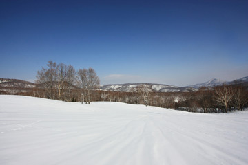 Obraz premium 雪原と青空