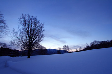 夜明け前の雪原