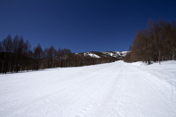 Obraz premium スキー場の風景