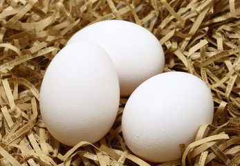 Chicken eggs
