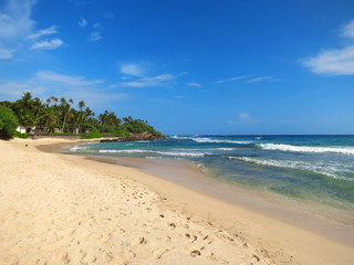 Fototapeta na wymiar Greens at the empty beach in Weligama bay, Sri Lanka