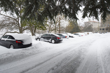 Cars in the snow