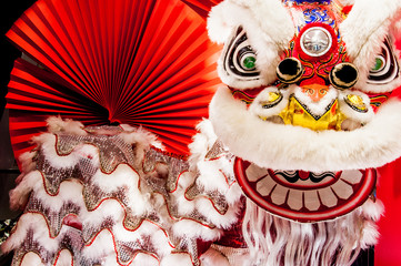 Traditional colorful Chinese new year lion with red fan