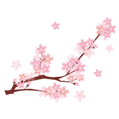 桜　春　花　背景