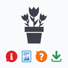 Flowers in pot sign icon. Bouquet of roses.