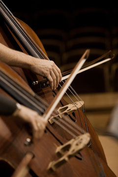 Detail basses in a symphony orchestra