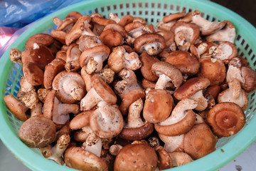 Vietnamese street food