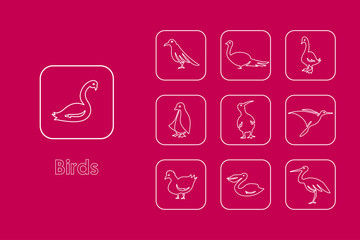 Set of birds simple icons