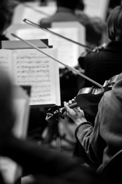 Fragment of a violin in the hands of a musician in the symphony orchestra in black and white