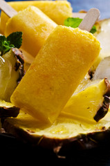 Homemade fruit popsicle