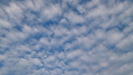Mackerel Sky