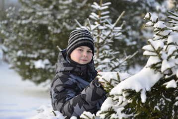 Fototapeta na wymiar teenage boy at a pine forest in winter