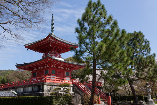 大覚寺
