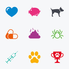 Veterinary, pets icons. Dog paw, syringe signs.