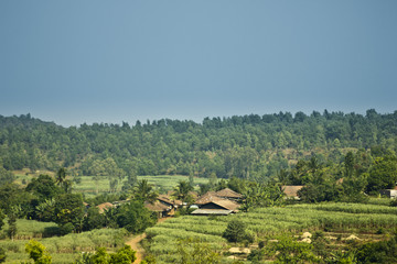 Fototapeta na wymiar forest village