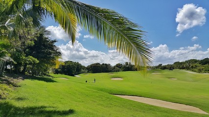 Golf field and tropical nature - obrazy, fototapety, plakaty