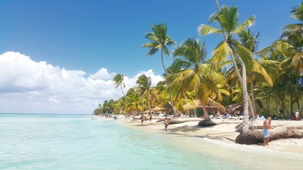 Carribean summer vacation, beautiful tropical island