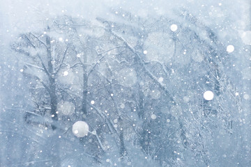 Naklejka na ściany i meble frozen winter window overlooking the woods