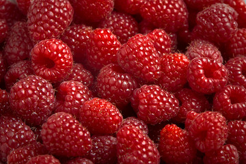 Fresh tasty Raspberries