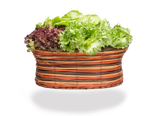 Fototapeta na wymiar Fresh vegetables in basket