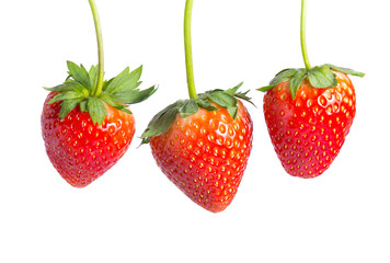 Red strawberries on white background