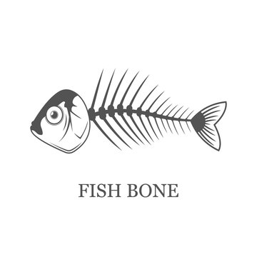 Fish bone, fish skeleton vector grey illustration isolated