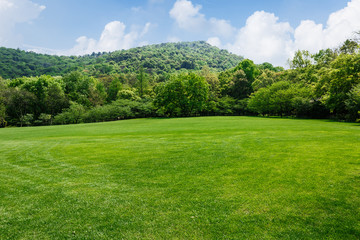 Natural scenery of green grass and blue sky