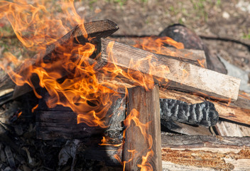 Fototapeta na wymiar burning wood closeup