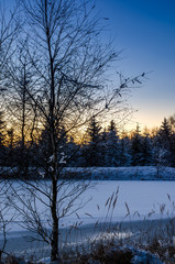 Winter sunset
