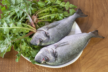 fresh  fish and wild greens