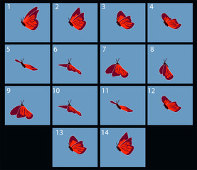 Animation of flaing butterfly