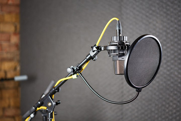 Voice micropone with pop protection