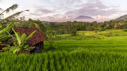 Foto op Canvas Uitzicht op rijstveld en berg in Sidemen, Bali, Indonesië © dneukirch
